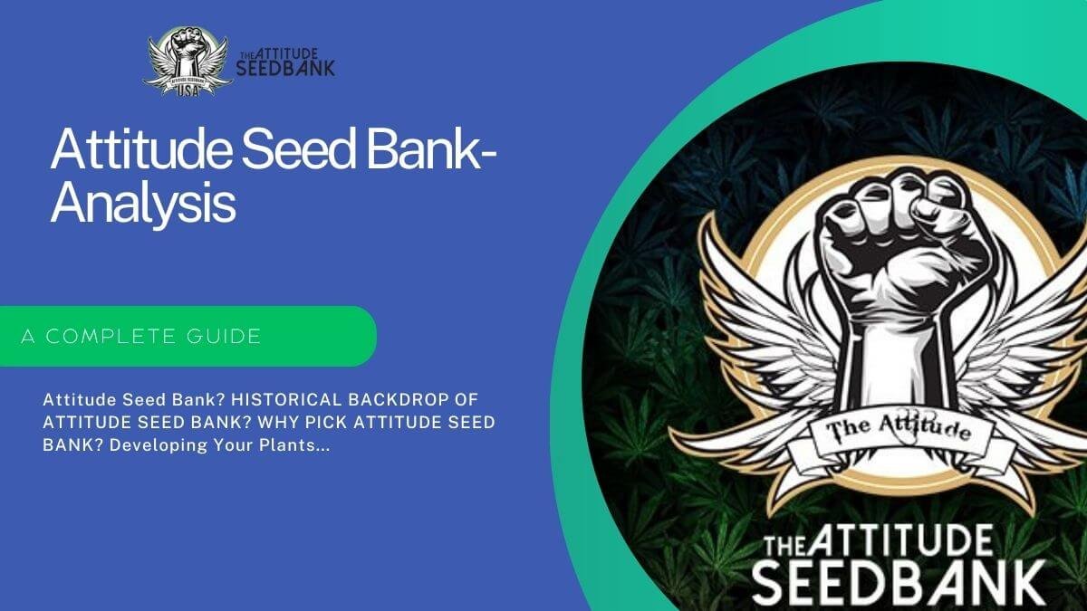 Attitude Seed Bank