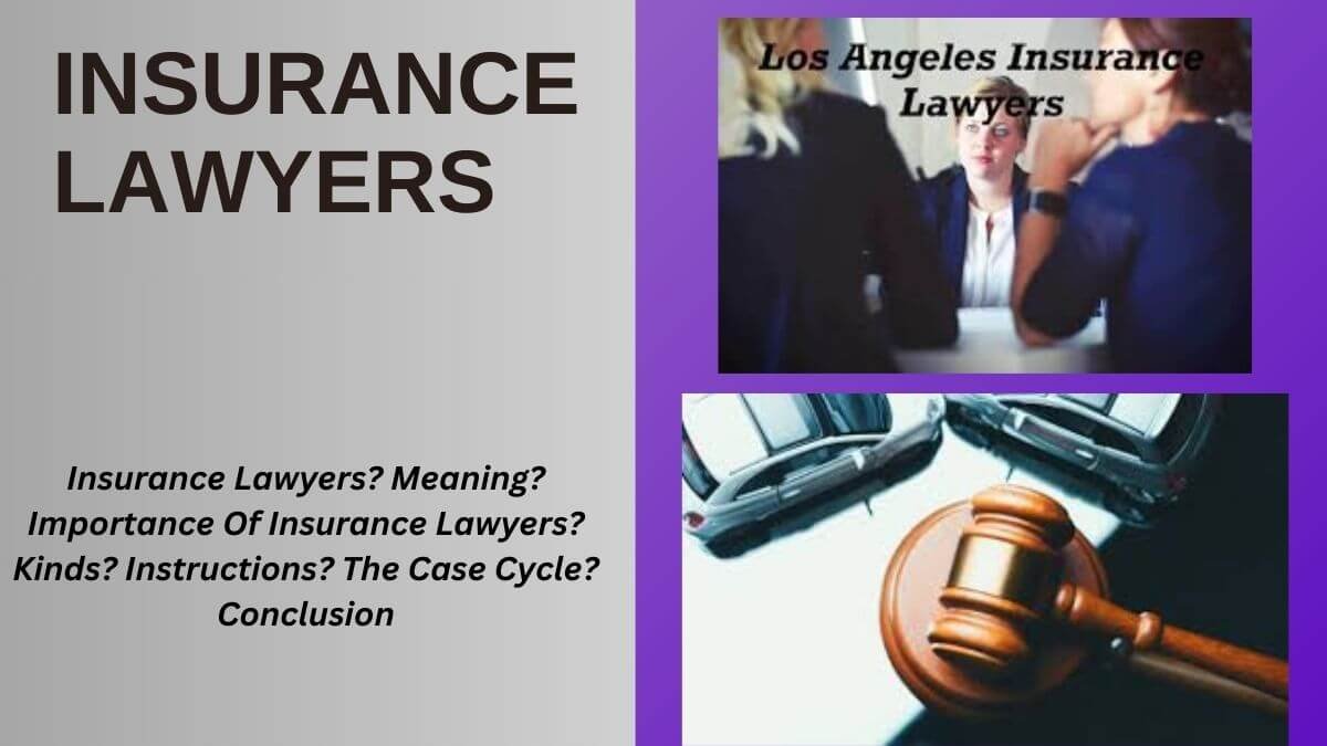 insurance lawyers