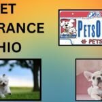 PET INSURANCE OHIO