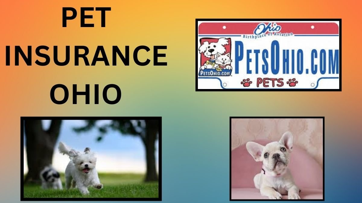 PET INSURANCE OHIO