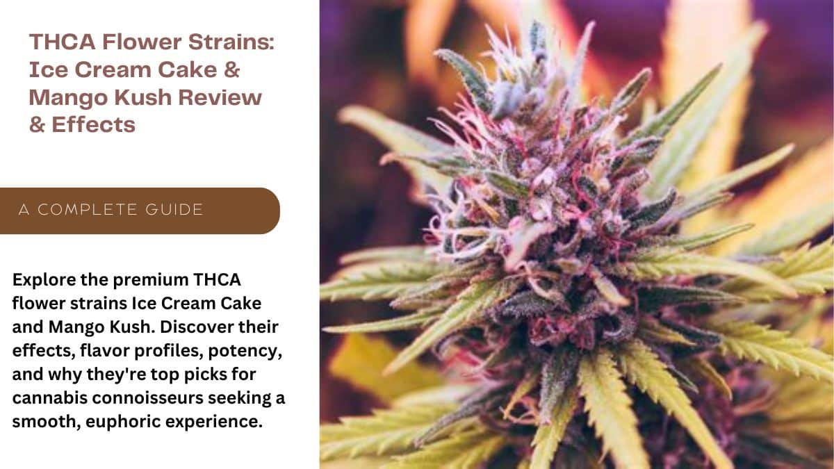 THCA Flower Strains Ice Cream Cake